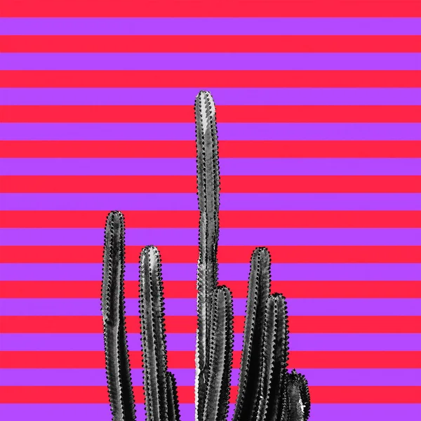 Contemporary Art Collage Minimal Cactus Design — Stock Photo, Image