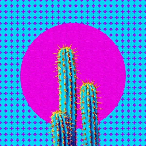 Hedendaagse Kunst Collage Minimale Geometrie Cactus Ontwerp — Stockfoto