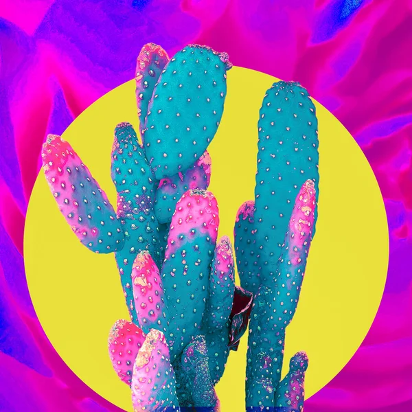 Samtida Konstcollage Geometri Och Kaktus Kreativt Koncept — Stockfoto