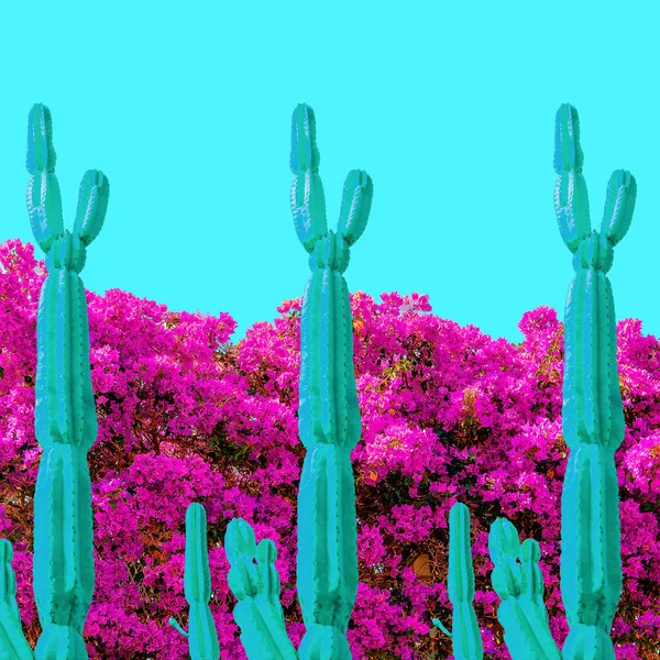 Collage Arte Contemporáneo Geometría Flor Cactus Diseño Creativo — Foto de Stock