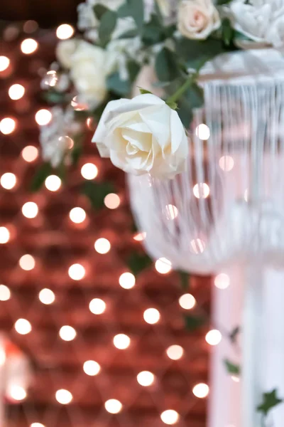 Rosa blanca sobre un fondo de efectos de luz — Foto de Stock