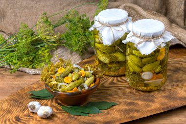 bir kasede, salatalık turşu salatalık Marine salatalık, ayarla