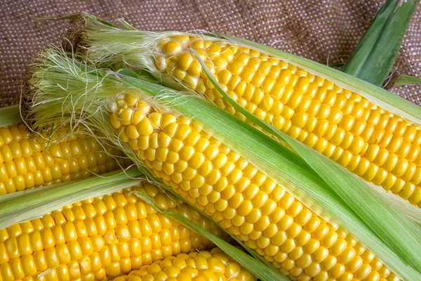 Kırsal ahşap masadaki koçanlarda taze mısır, yakın plan.,