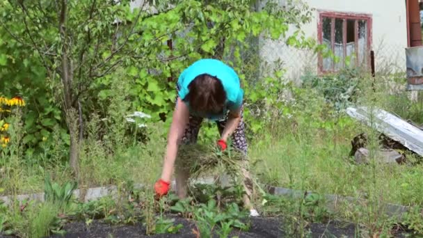 Donna su un campo da giardino di fragole d'erba — Video Stock