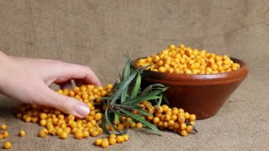 Cehri, deniz topalak bir kase çilek.