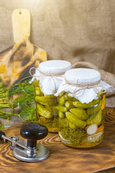 Pepinos marinados, pepinos en un tazón, conjunto de pepinos en vinagre — Foto de Stock