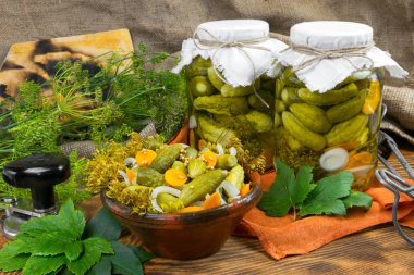 bir kasede, salatalık turşu salatalık Marine salatalık, ayarla