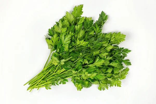 Parsley bunch isolated on white background. Parsley herb leaves — Stock Photo, Image