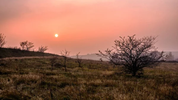 Solnedgång i fältet. vackra höst dimmigt landskap i Ukraina — Stockfoto