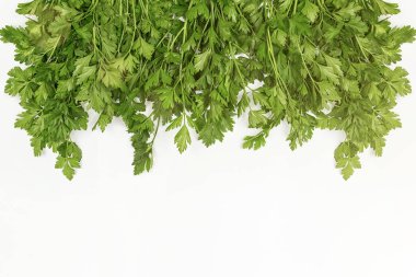 Maydanoz demet izole üzerinde beyaz arka plan. Maydanoz bitki yaprakları