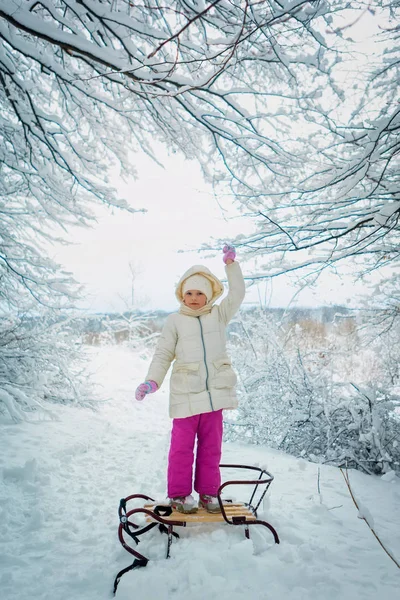 Menina bonita no inverno na neve. tobogã de inverno. lugar para texto — Fotografia de Stock