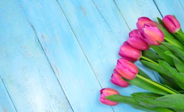 Pembe Lale ahşap mavi zemin üzerine. Gebe tatil, Mart 8, anneler günü. Yat ve uzay kopyalayın