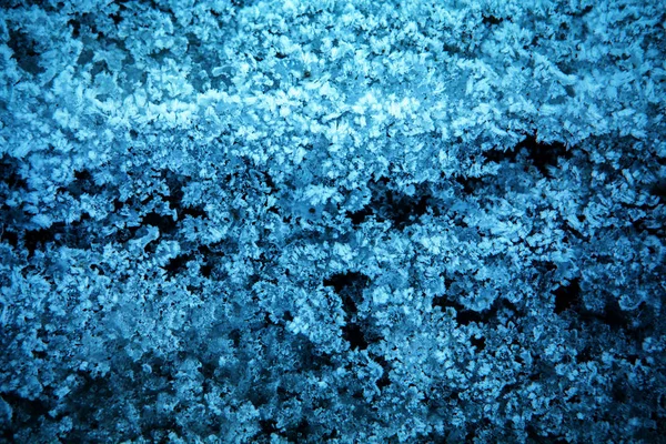 Textura de geada. gelo congelado na relva. inverno hoarfrost fundo — Fotografia de Stock