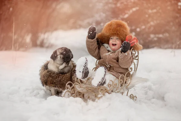 Baby for a walk in winter with a pug — Stock Photo, Image