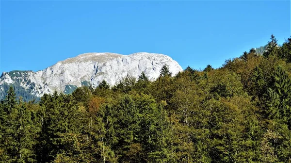 Koenigsee Gölü Almanya