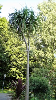 Bad Füssing Almanya