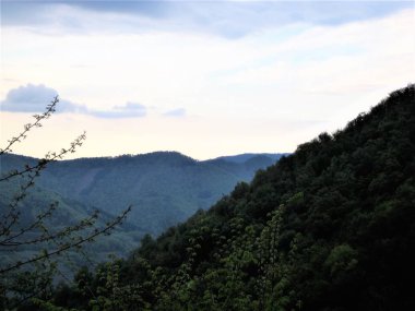 Peter Prishelski fotoğraf gezi deniz ve dağ