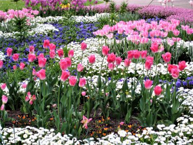 Bad Füssing Almanya