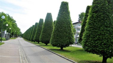 Gezi için deniz ve dağ