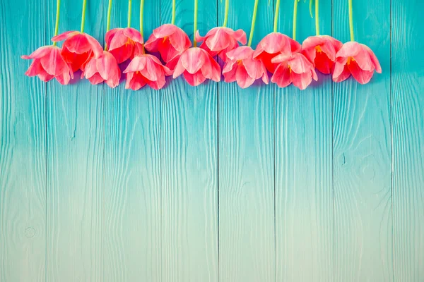 Vue du dessus des tulipes sur la table en bois — Photo