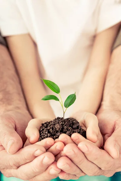 Familie hält jungen Spross in den Händen — Stockfoto