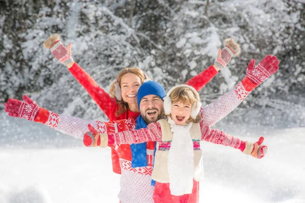 Family in winter park — Stock Photo, Image