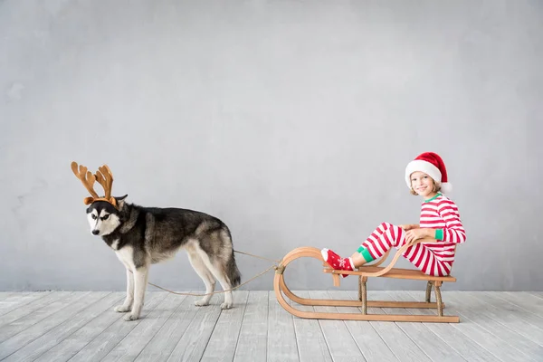 Happy child and dog on Christmas eve — Stock Photo, Image