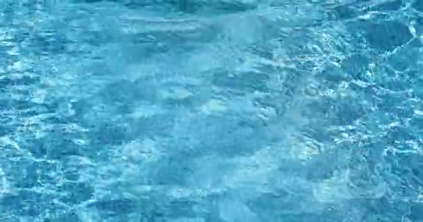 Glückliche Familie Mit Spaß Schwimmbad Menschen Sommerurlaub — Stockvideo