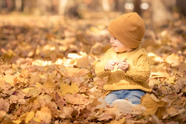 快乐的孩子在秋天的公园里玩得很开心 小孩坐在树叶上 背对着黄色模糊的背景 — 图库照片