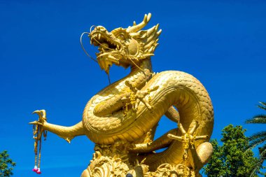 Golden Dragon phuket Tayland