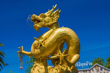 Golden Dragon phuket Tayland