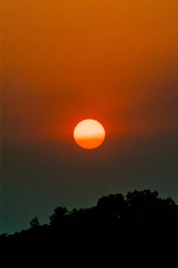 Çay, günbatımı üzerinde güzel cennet vurdu