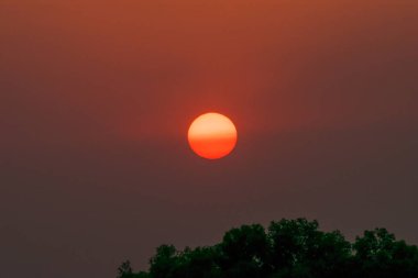Çay, günbatımı üzerinde güzel cennet vurdu