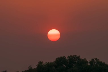 Çay, günbatımı üzerinde güzel cennet vurdu