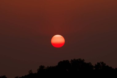 Çay, günbatımı üzerinde güzel cennet vurdu