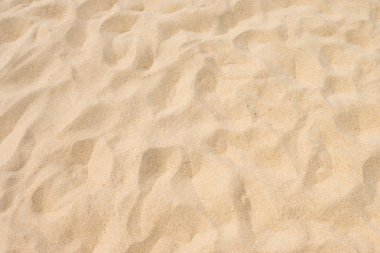 Yaz güneşinde güzel kumsal