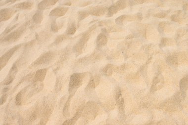 Yaz güneşinde güzel kumsal