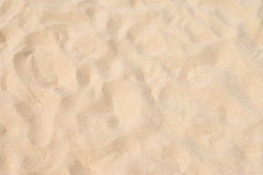 Yaz güneşinde güzel kumsal