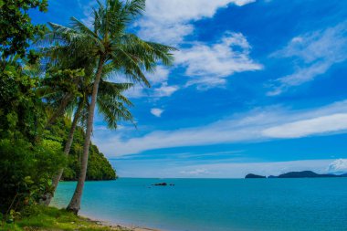 doğa baech kum phuket Tayland