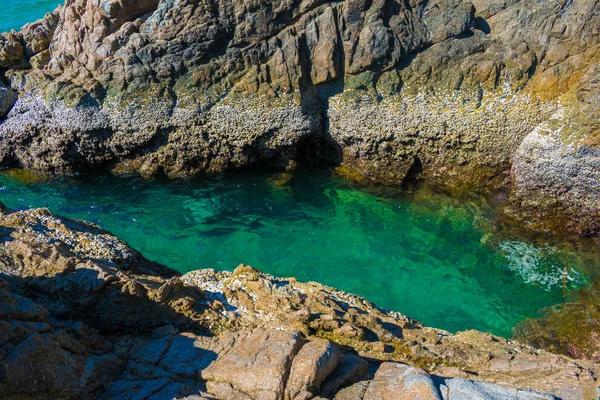 doğa baech kum phuket Tayland