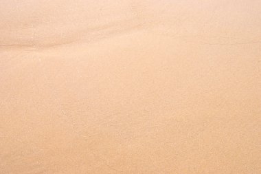 kum arka plan güzel yakından 