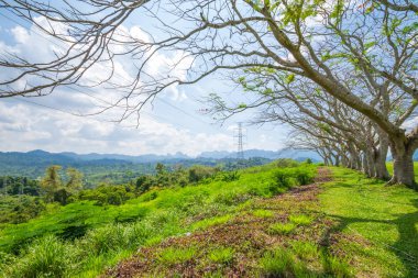 Golf manzara bakış