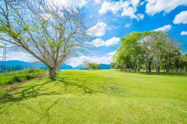 Golf manzara bakış