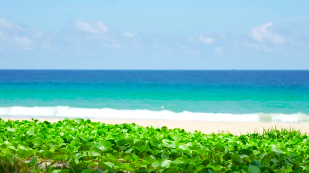 Phuket Tengerpart Tenger Kilátás Strand Tenger Napfényben Nyáron Karon Beach — Stock videók