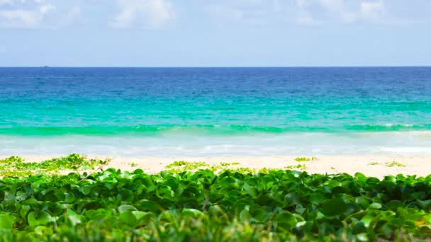 Phuket Strand Zee Uitzicht Strand Zee Zonlicht Zomer Bij Karon — Stockvideo