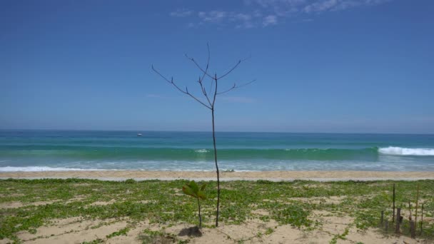 Phuket Strand Hav Utsikt Över Stranden Havet Solljus Sommaren Vid — Stockvideo