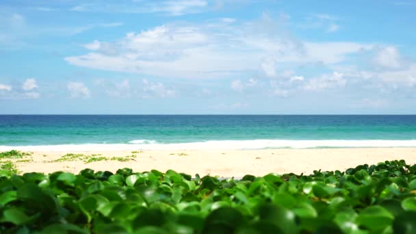 Mar Praia Phuket Vista Mar Praia Luz Sol Verão Karon — Vídeo de Stock