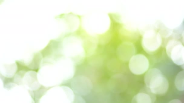 Belle nature arbre flou focus ad bokeh fond flou .