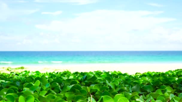Spiaggia Karon Phuket Tailandia Paesaggio Veduta Della Spiaggia Sole Luce — Video Stock