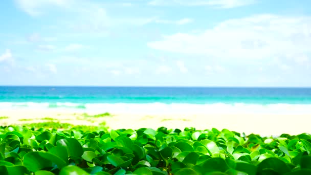 Playa Phuket Mar Vista Playa Mar Luz Del Sol Verano — Vídeos de Stock